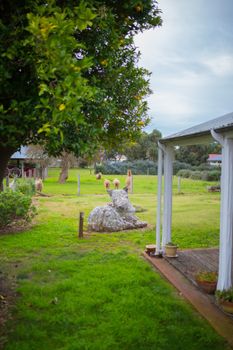 Davidsons Cottage - Gold Coast 5