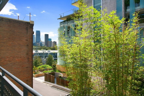I Can View Woolloomooloo - Tourism Gold Coast 5