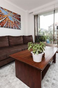 Potts Point Springfield Avenue (I) - Tourism Gold Coast 1