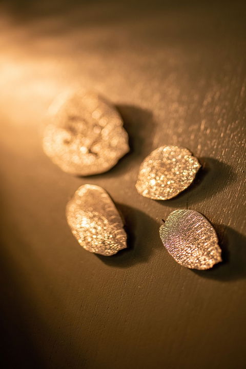 Majestic M Suites - Tourism Gold Coast 1