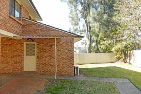 Dolphins Delight At Culburra Beach - Tourism Gold Coast 5