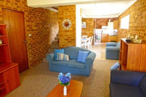 Dolphins Delight At Culburra Beach - Tourism Gold Coast 3