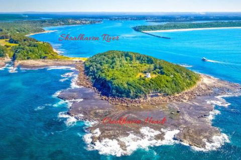 Dolphins Delight At Culburra Beach - Tourism Gold Coast 4