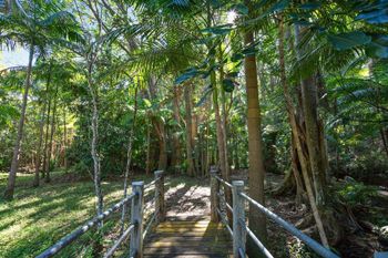 Paperbark - Tourism Gold Coast 1