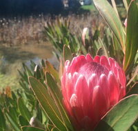 Creswick Cabin Retreat - Tourism Gold Coast