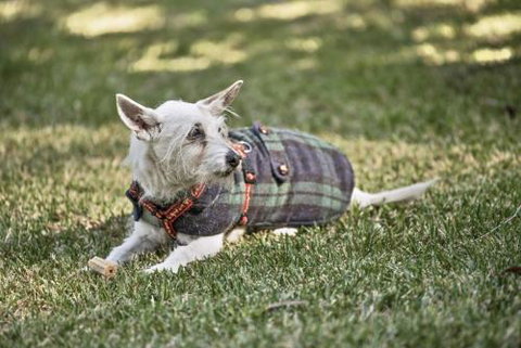 BEACH WITHIN REACH - Gold Coast 4