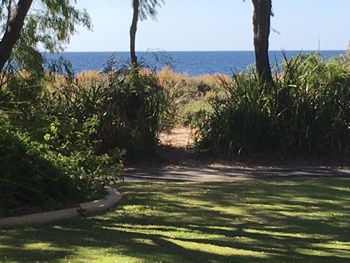 On The Shores Of Geographe Bay - Gold Coast 5