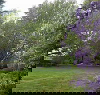 Petersons Armidale Winery  Guesthouse - Tourism Gold Coast