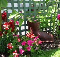 Albany Bayview Lodge YHA - Tourism Gold Coast