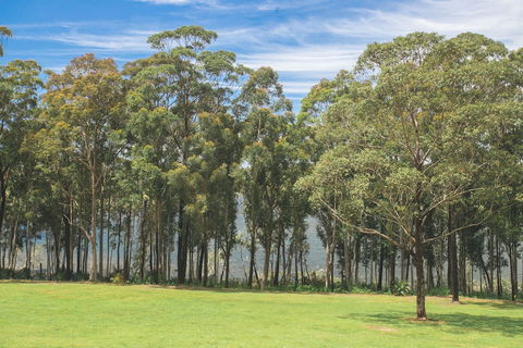 The Jackson Ranch - Tourism Gold Coast 4