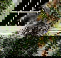 Fitzpatrick's Inn - Tourism Gold Coast