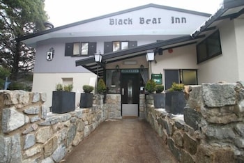 Black Bear Inn - Gold Coast 1