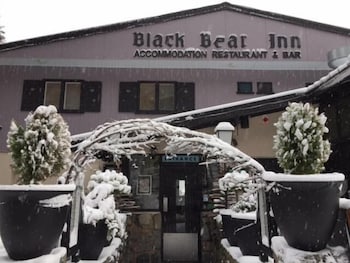 Black Bear Inn - Gold Coast 0