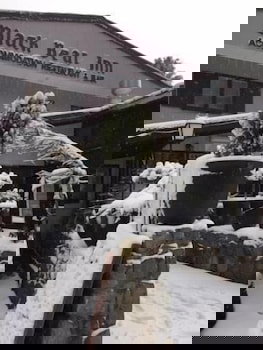 Black Bear Inn - Gold Coast 2