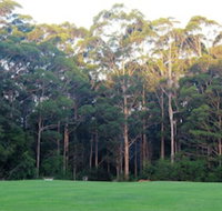 Tinglewood Cabins - Tourism Gold Coast