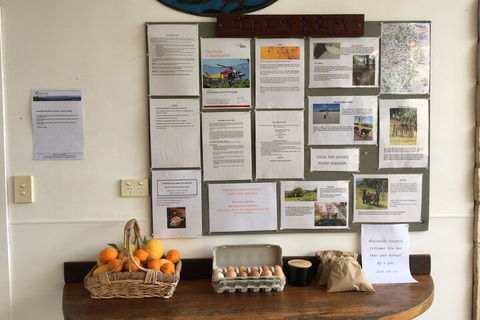 Alstonville Country Cottages - Tourism Gold Coast 5