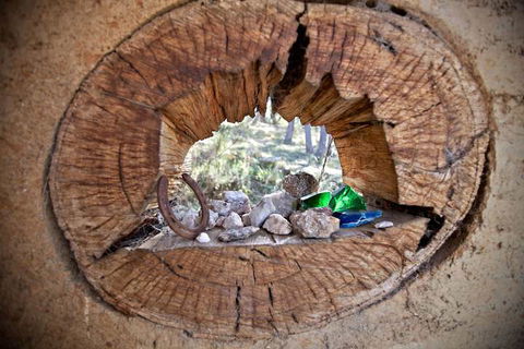 Snowy Wilderness - Tourism Gold Coast 1