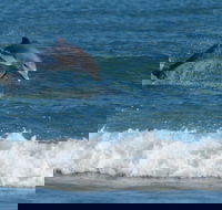 Summerhills Retreat Byron Bay - Tourism Gold Coast