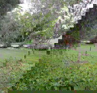 Amy's House - Tourism Gold Coast