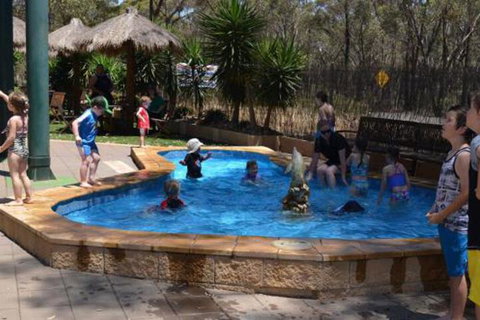 Bendigo Bush Cabins - Tourism Gold Coast 2