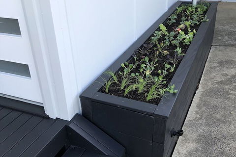 Augusta Escape Holiday Units - Tourism Gold Coast 5