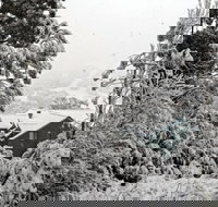 Alpenhorn - Gold Coast