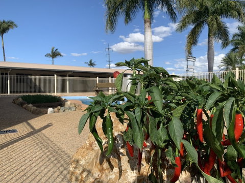 Silo Motor Inn - Tourism Gold Coast 6