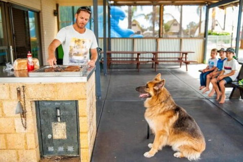 Discovery Parks â€“ Bunbury Village - Tourism Gold Coast 2