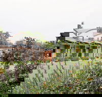 A Must At Coonawarra - Gold Coast