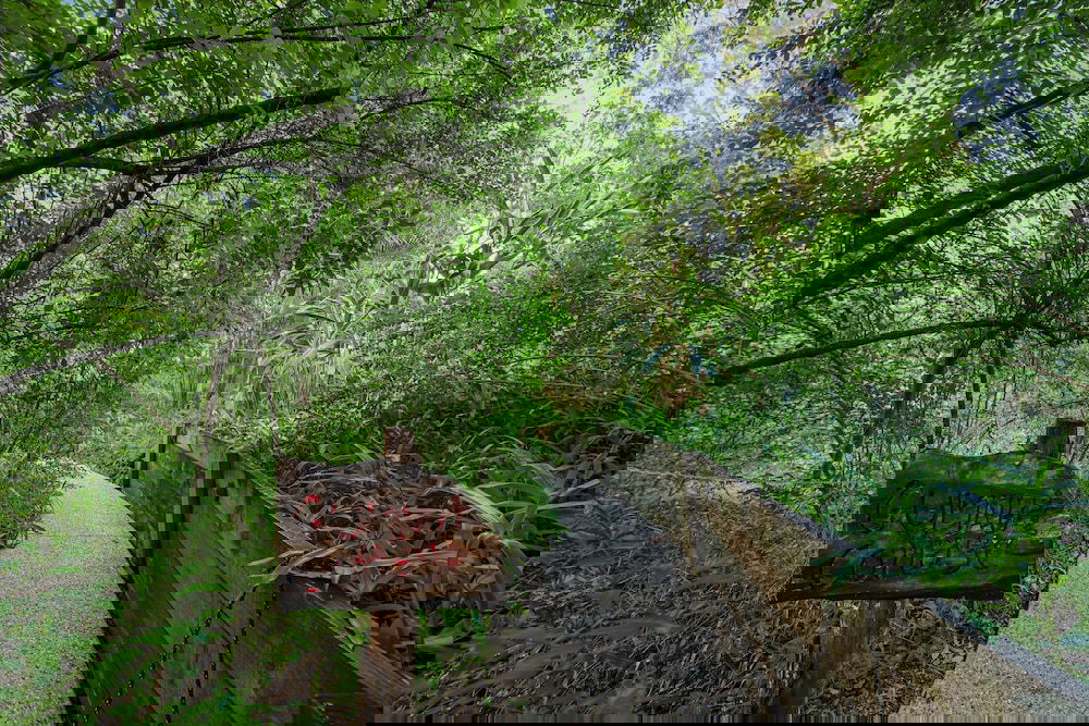 Landers Shoot QLD Tourism Gold Coast