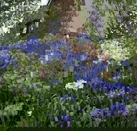 Yallambee - Tourism Gold Coast