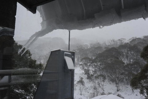 Warrina 12 - Gold Coast 1