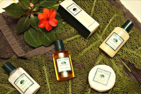 Mapleton Cabins & Caravan Park - Gold Coast 7