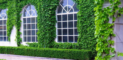 Milton Park Country House Hotel & Spa - Tourism Gold Coast 0