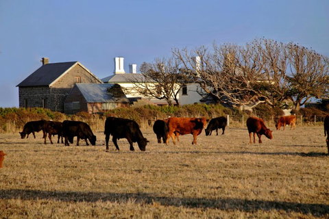 Cable Station Accommodation - Tourism Gold Coast 5