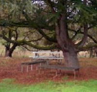 Auburn Shiraz Motel - Tourism Gold Coast