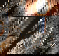 Siesta Villa - Gold Coast