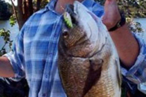 Orbost Country Road Motor Inn - Tourism Gold Coast 4