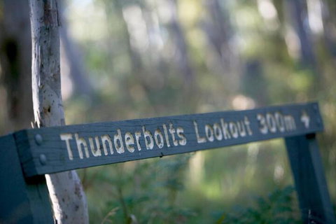 16 Gregson Silky Oaks - Gold Coast 6