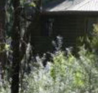 Twin Falls Bush Cottages - Tourism Gold Coast