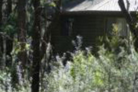 Twin Falls Bush Cottages - Tourism Gold Coast 0