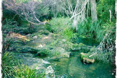 Twin Falls Bush Cottages - Tourism Gold Coast 2