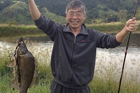 Worendo Cottages - Tourism Gold Coast 6