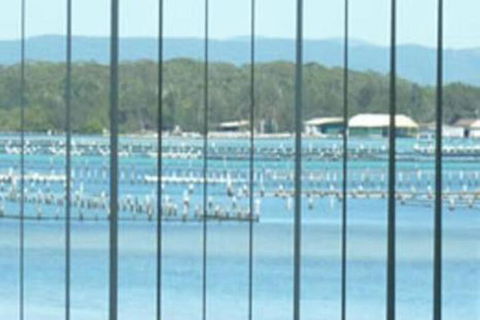 Montgomery Apartments - Tourism Gold Coast 0
