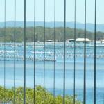 Montgomery Apartments - Tourism Gold Coast 1