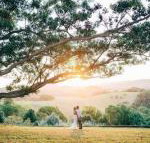 Cedia at Byron Bay Hinterland - Tourism Gold Coast