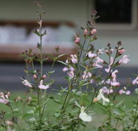 Serendipity on Allyn - Tourism Gold Coast