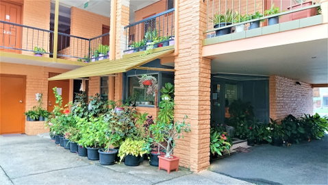 New Olympic Motel - Tourism Gold Coast 2