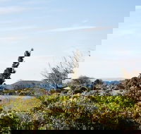 Botanica - Tourism Gold Coast