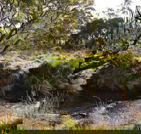 Green Gully House - Tourism Gold Coast